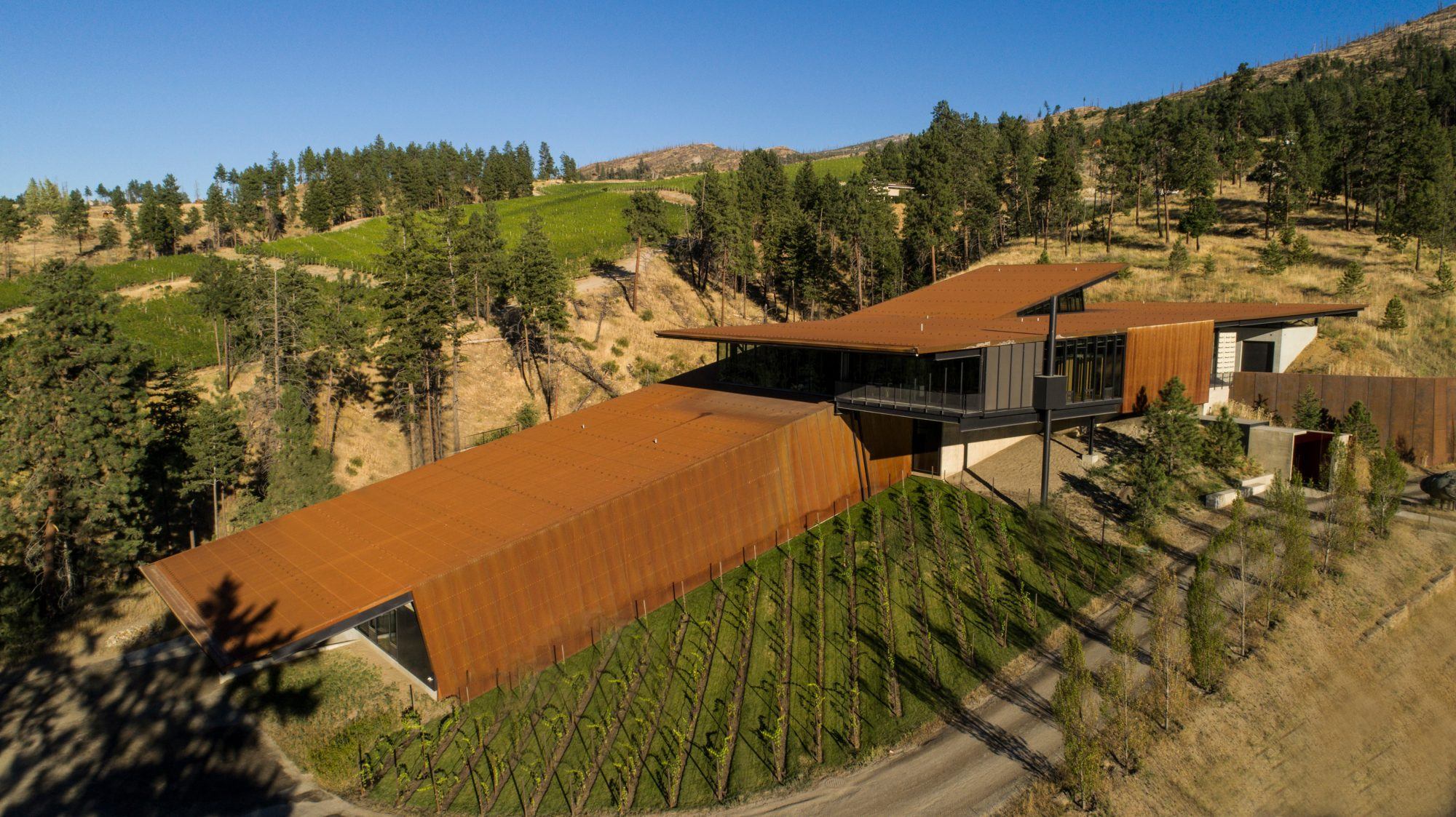 Perforated metal ideas: top projects using metal